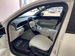 Geely Starwish 410km Freedom Edition - ფოტო 13