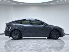 Tesla Model Y Rear-Wheel Drive - ფოტო 10