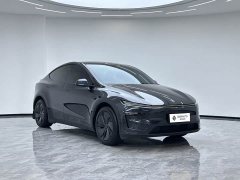 Tesla Model Y Rear-Wheel Drive - ფოტო 2