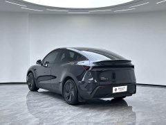 Tesla Model Y Rear-Wheel Drive - ფოტო 3