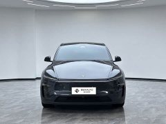 Tesla Model Y Rear-Wheel Drive - ფოტო 5
