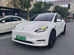 Tesla Model Y Long Range All-Wheel Drive - ფოტო 1