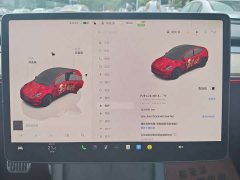 Tesla Model Y Long Range All-Wheel Drive - ფოტო 10