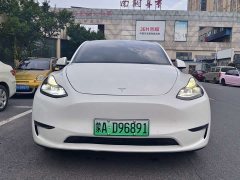 Tesla Model Y Long Range All-Wheel Drive - ფოტო 3