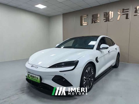 2023 BYD Dolphin 2022 550km Standard Range RWD Luxury - ავტომობილი ჩინეთიდან