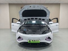 BYD Dolphin 2022 550km Standard Range RWD Luxury - ფოტო 18