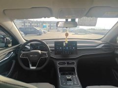 BYD Destroyer 05 Glory Edition DM-i 55KM Luxury - ფოტო 12