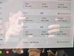 Tesla Model 3 Facelift Standard Range RWD Upgrade 3D1 - ფოტო 15
