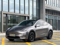 Tesla Model Y Long Range All-Wheel Drive - ფოტო 1