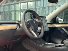 Tesla Model Y Long Range All-Wheel Drive - ფოტო 10
