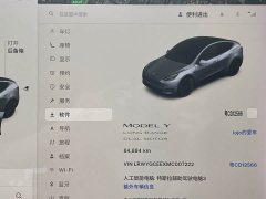 Tesla Model Y Long Range All-Wheel Drive - ფოტო 15