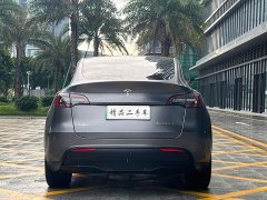 Tesla Model Y Long Range All-Wheel Drive - ფოტო 5