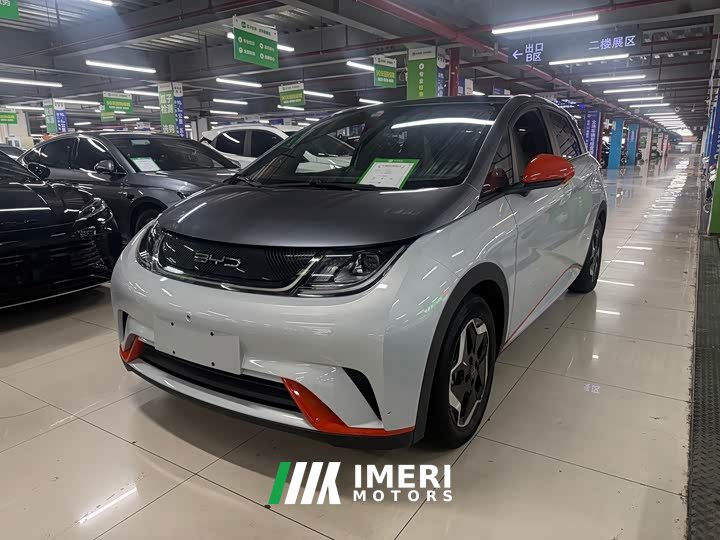 BYD Dolphin 405km Fashion Edition - ავტომობილი ჩინეთიდან