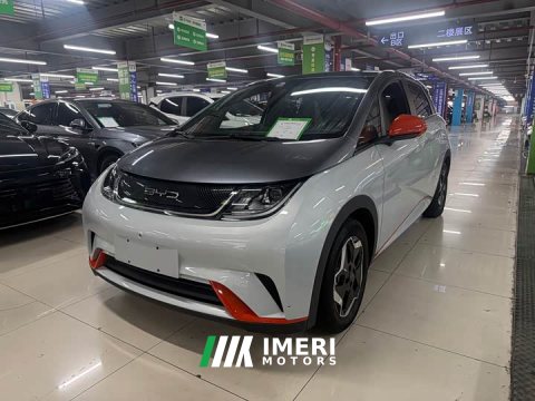 2022 BYD Dolphin 405km Fashion Edition - ავტომობილი ჩინეთიდან