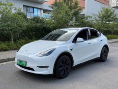 Tesla Model Y Long Range All-Wheel Drive - ფოტო 1