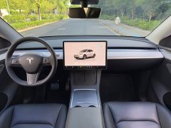Tesla Model Y Long Range All-Wheel Drive - ფოტო 13