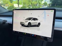 Tesla Model Y Long Range All-Wheel Drive - ფოტო 15