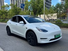 Tesla Model Y Long Range All-Wheel Drive - ფოტო 3