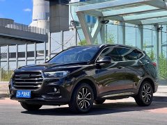 Haval H6 National Trend Edition 1.5T Automatic Urban Version - ფოტო 1
