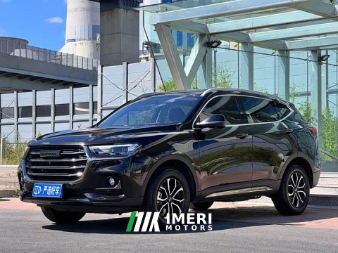 2021 Haval H6 National Trend Edition 1.5T Automatic Urban Version - ავტომობილი ჩინეთიდან