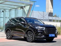 Haval H6 National Trend Edition 1.5T Automatic Urban Version - ფოტო 3