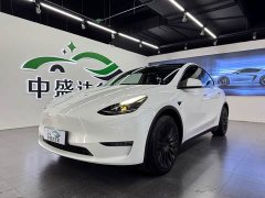 Tesla Model Y Long Range All-Wheel Drive - ფოტო 1