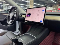 Tesla Model Y Long Range All-Wheel Drive - ფოტო 10
