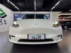 Tesla Model Y Long Range All-Wheel Drive - ფოტო 2