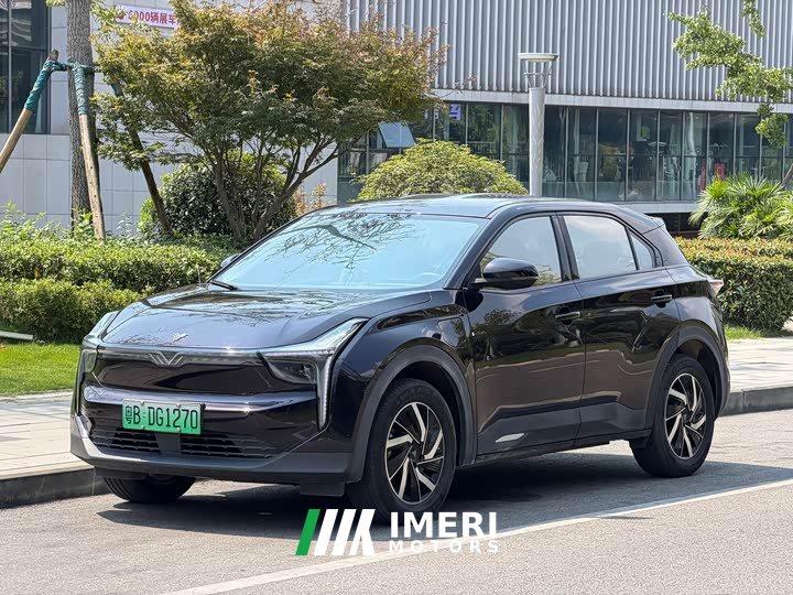 Neta U 2021 Pro 400 Cruise Edition - ავტომობილი ჩინეთიდან