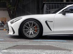 Mercedes-Benz AMG GT New Energy 2025 63 S E Performance - ფოტო 12