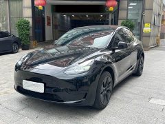 Tesla Model Y Rear-Wheel Drive - ფოტო 1