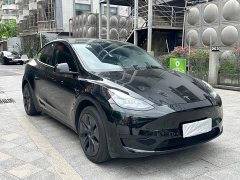 Tesla Model Y Rear-Wheel Drive - ფოტო 3