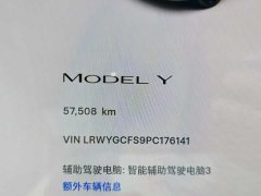 Tesla Model Y 2022 Facelift Rear-Wheel Drive - ფოტო 14