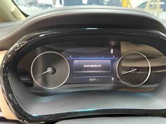 Buick GL8 Land Executive Cabin Premium - ფოტო 8