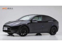 Tesla Model Y Long Range All-Wheel Drive 3D7 - ფოტო 1