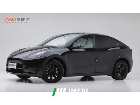 2021 Tesla Model Y Long Range All-Wheel Drive 3D7 - ავტომობილი ჩინეთიდან