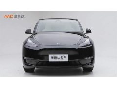 Tesla Model Y Long Range All-Wheel Drive 3D7 - ფოტო 2