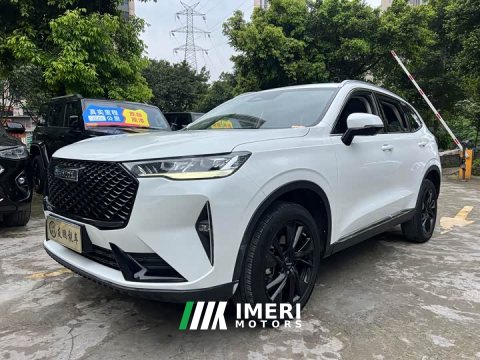 2022 Haval H6 2021 Third Generation 2.0T Automatic AWD Max - ავტომობილი ჩინეთიდან