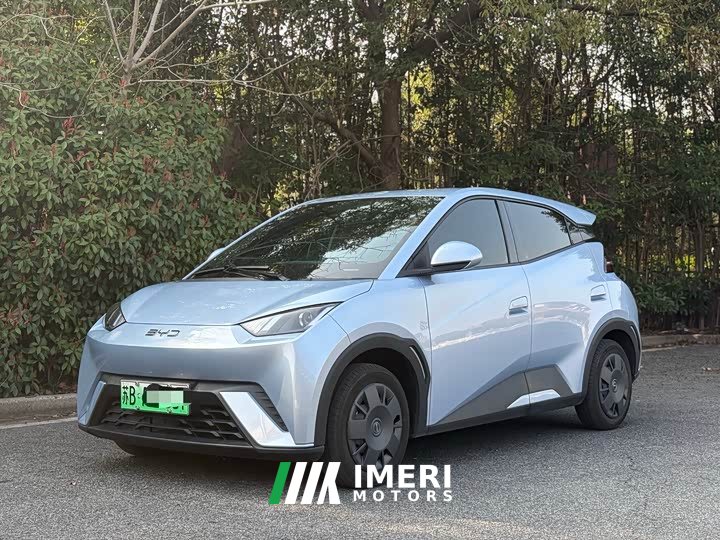 BYD Seagull Glory Edition 305km Vitality Version - ავტომობილი ჩინეთიდან
