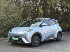 BYD Seagull Glory Edition 305km Vitality Version - ფოტო 1