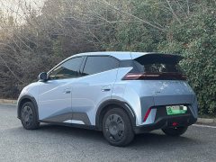 BYD Seagull Glory Edition 305km Vitality Version - ფოტო 3