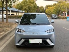 BYD Seagull Glory Edition 305km Vitality Version - ფოტო 9