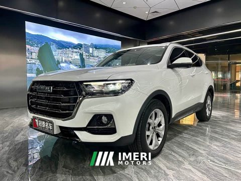 2022 Haval H6 2021 National Trend 1.5T Automatic Champion Edition - ავტომობილი ჩინეთიდან