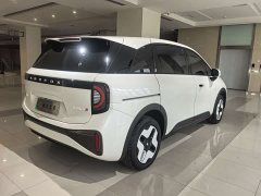 Arcfox Koala S 2024 PRO - ფოტო 13