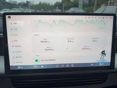 XPeng G6 580 Long Range Max - ფოტო 9