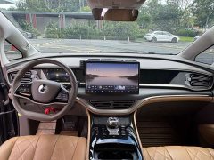 Denza D9 2022 DM-i 970 AWD Flagship - ფოტო 9