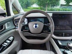 Denza D9 2022 DM-i 970 AWD Flagship - ფოტო 11