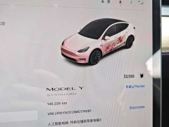 Tesla Model Y 2021 Standard Range RWD - ფოტო 18