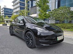 Tesla Model Y 2021 Standard Range RWD - ფოტო 3