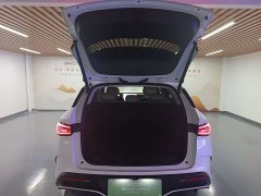 BYD Dolphin 06 DM-i Touring DM-i 150KM Flagship - ფოტო 15